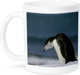 3dRose Chinstrap Penguin, Antarctica AN02 KSC0039 Kevin Schafer Ceramic Mug, 11-Ounce