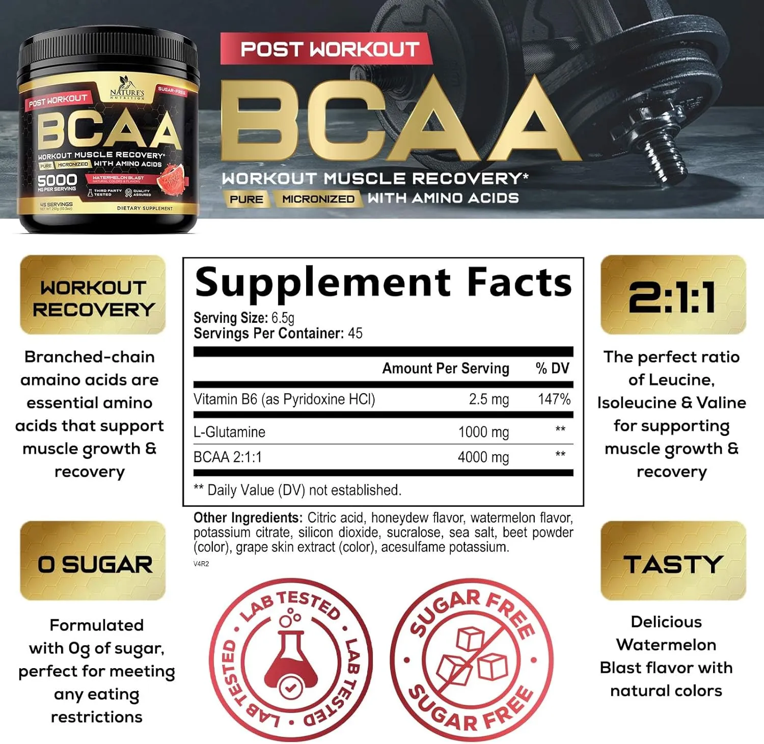 BCAA Powder - Post Workout Muscle Recovery Support Supplement, Pre Workout Energy 2:1:1 with Essential Amino Acids, Keto, Sugar-Free, 4g BCAAs plus 1g Glutamine per Serving, Watermelon - 45 Servings