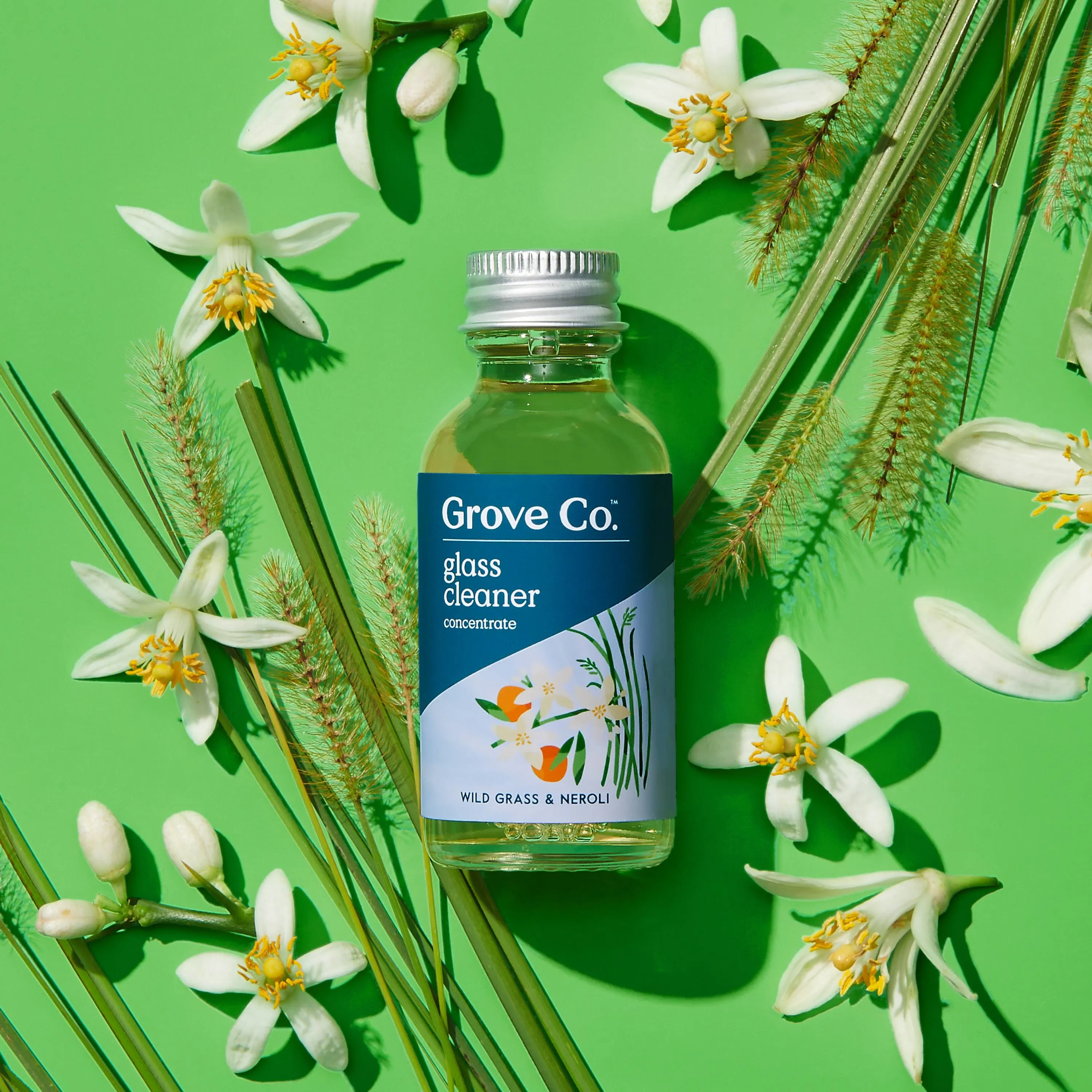 Glass Cleaner Concentrate