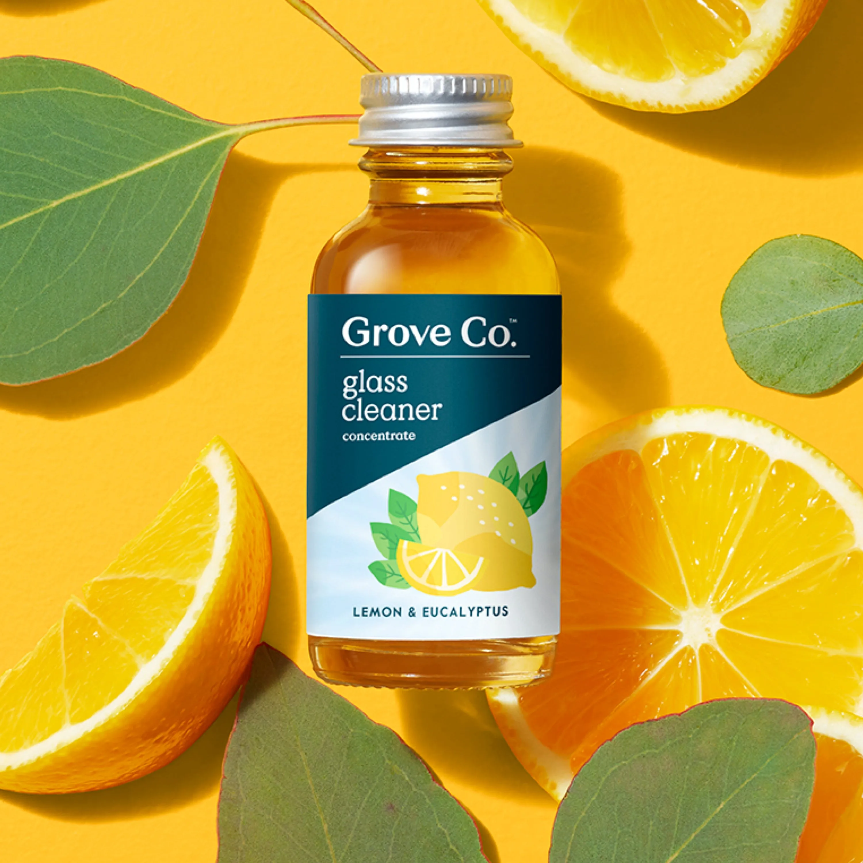 Glass Cleaner Concentrate