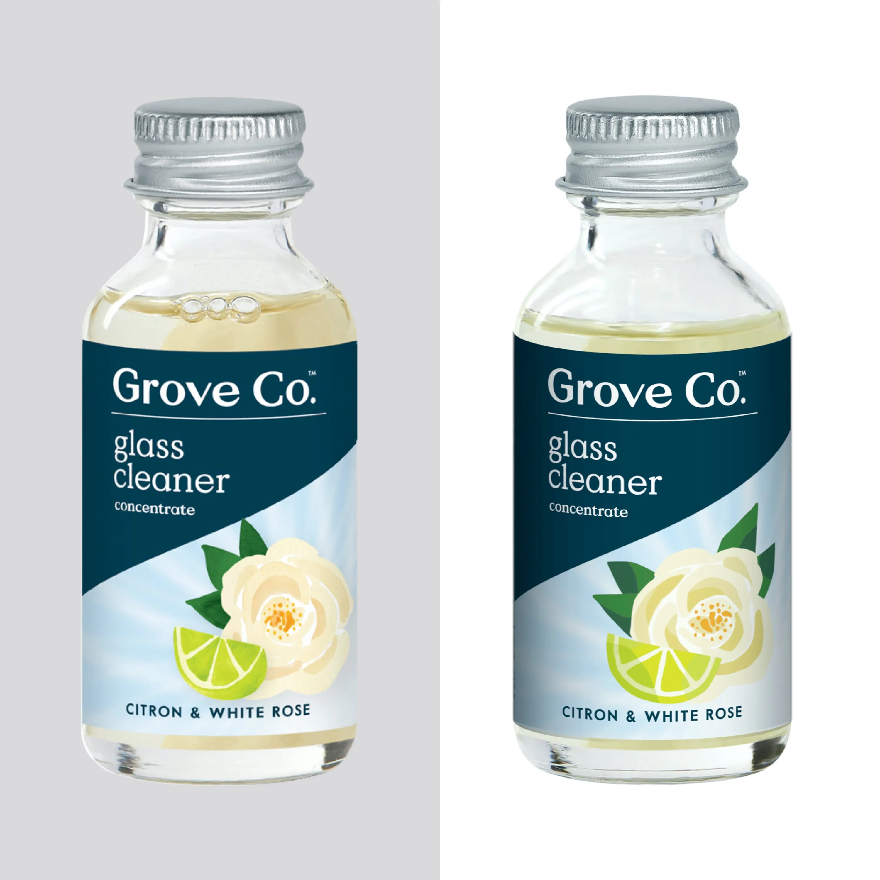 Glass Cleaner Concentrate