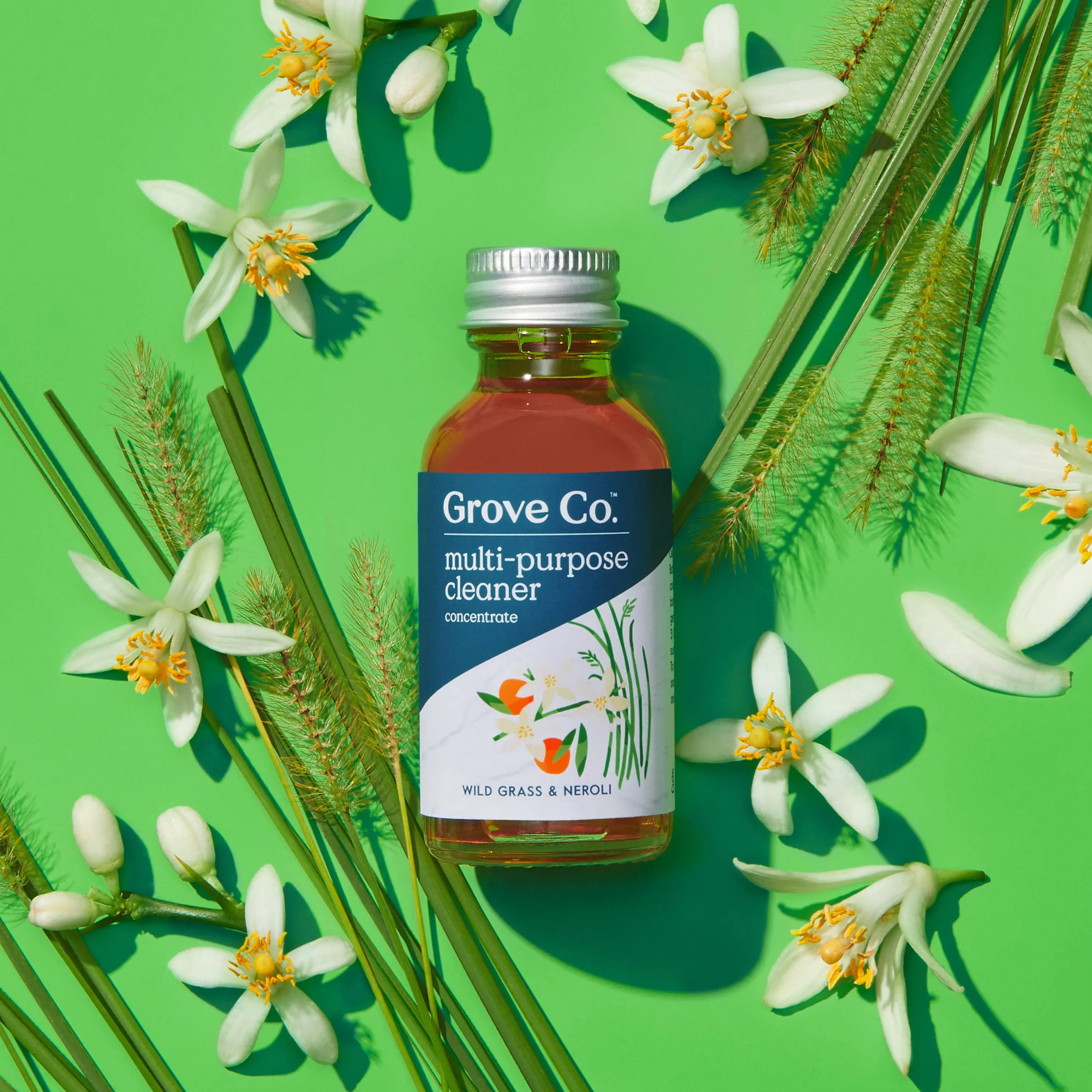Multi-Purpose Cleaner Concentrate